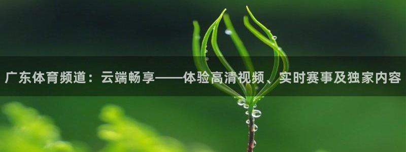 jrkan直播官网入口：广东体育频道：云端畅享——体验高清视频、实时赛事及独家内容