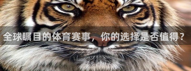 jrkan直播体育：全球瞩目的体育赛事，你的选择是否值得？
