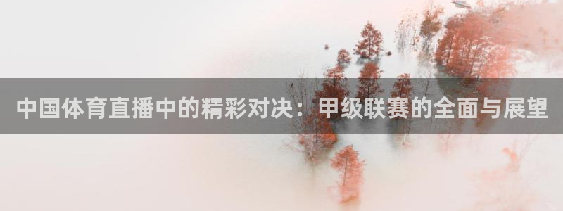 jrkan直播吧：中国体育直播中的精彩对决：甲级联赛的全面与展望