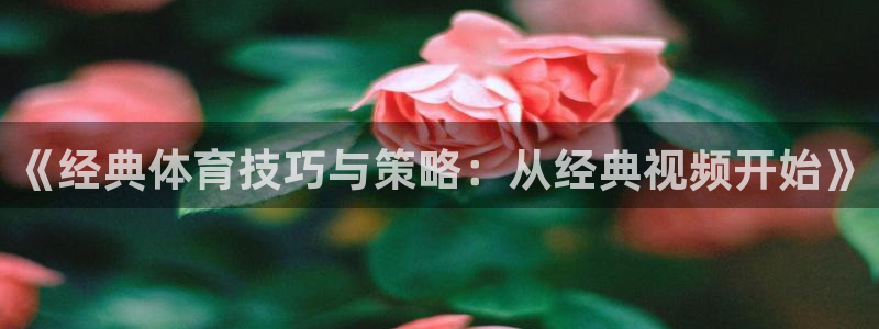 jrkan直播免费高清体育直播nba：《经典体育技巧与策略：从经典视频开始》