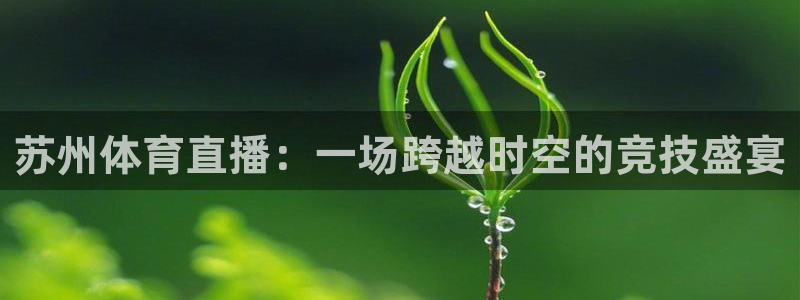 jrkan直播体育：苏州体育直播：一场跨越时空的竞技盛宴