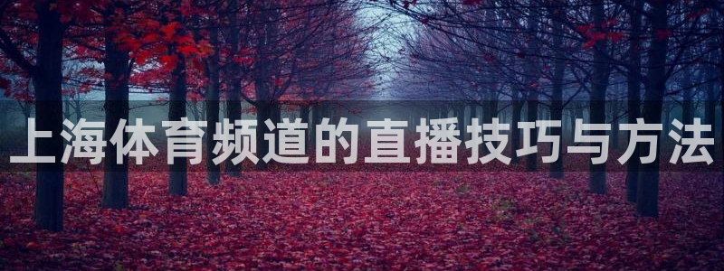 jrkan直播手机版：上海体育频道的直播技巧与方法