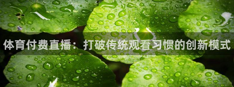 jrkan直播nba链接：体育付费直播：打破传统观看习惯的创新模式