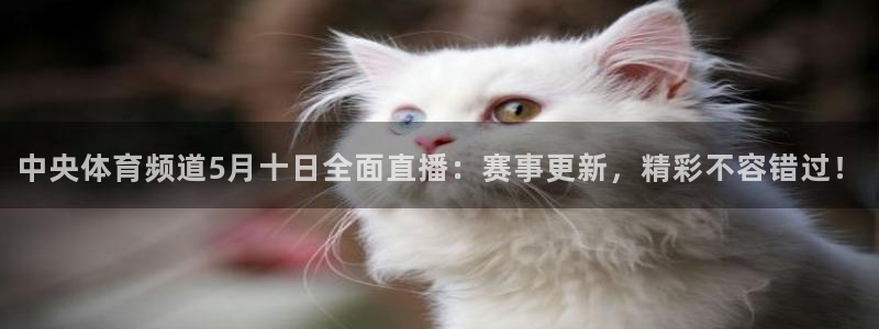 jrkan直播官网：中央体育频道5月十日全面直播：赛事更新，精彩不容错过！