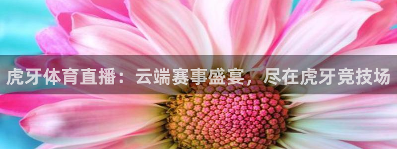 jrkan直播官网入口：虎牙体育直播：云端赛事盛宴，尽在虎牙竞技场